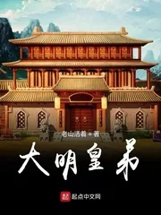 《大明皇弟》小说封面