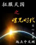 《征服天国之曙光时代》小说封面