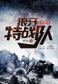 《狼牙特战队》小说封面