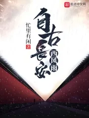 《自古长安西风雨》小说封面