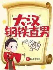 《大汉钢铁直男》小说封面