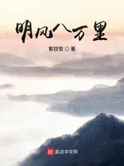 《明风八万里》小说封面