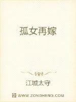 《孤女再嫁》小说封面