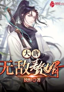 《大唐无敌赘婿》小说封面