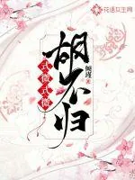 《式微式微胡不归》小说封面