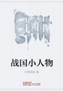 《战国小人物》小说封面