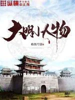《大明小人物》小说封面