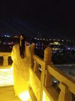 《念影秋棠》小说封面