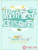 《傲娇皇子攻略指南》小说封面