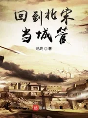 《回到北宋当城管》小说封面
