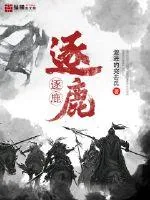 《逐鹿》小说封面