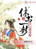 《休书一封皇上请查收》小说封面