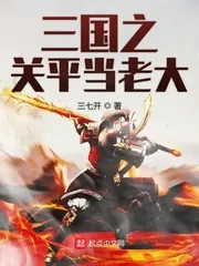 《三国之关平当老大》小说封面