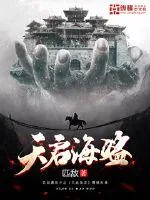 《天启海盗》小说封面