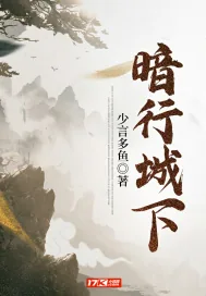 《暗行城下》小说封面