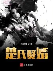 《楚氏赘婿》小说封面
