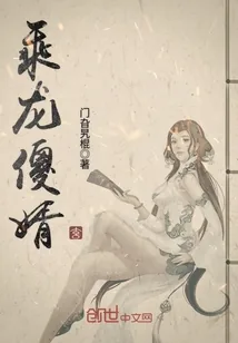 《乘龙傻婿》小说封面