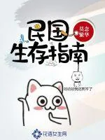 《民国生存指南》小说封面