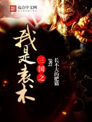 《三国之我是袁术》小说封面
