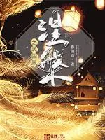 《涅槃之凤囚凰》小说封面