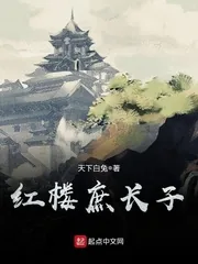 《红楼庶长子》小说封面