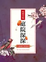 《庭院深深》小说封面