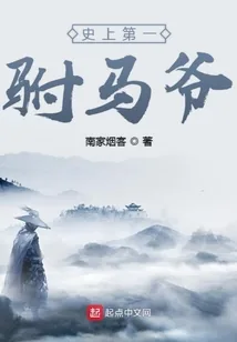 《史上第一驸马爷》小说封面