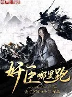 《奸臣哪里跑》小说封面