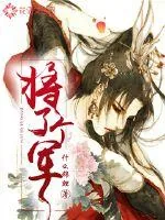 《将了个军》小说封面