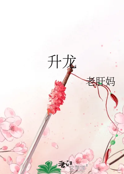 《升龙》小说封面