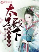 《太子殿下强求不得啊》小说封面