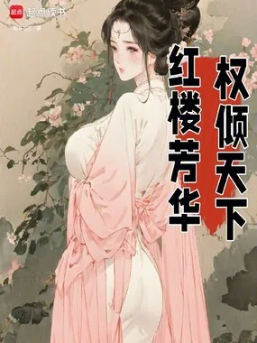 《红楼芳华，权倾天下》小说封面