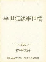 《半世狐缘半世情》小说封面