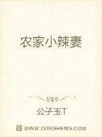 《农家小辣妻》小说封面