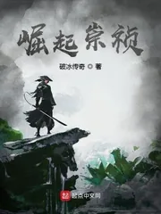 《崛起崇祯》小说封面
