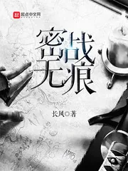 《密战无痕》小说封面