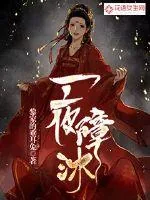 《一夜障沐》小说封面