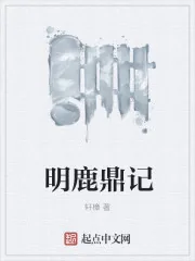 《明鹿鼎记》小说封面