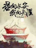 《君向长安我向天涯》小说封面