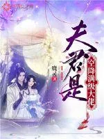 《夫君是空降满级大佬》小说封面