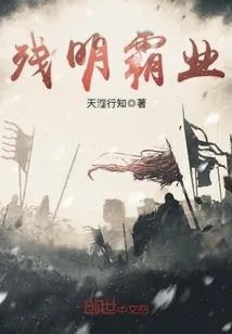 《残明霸业》小说封面