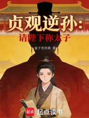 《大唐贞观逆孙：请陛下称太子！》小说封面