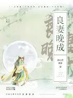 《良妻晚成》小说封面