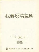 《我要反清复明》小说封面