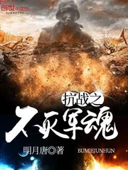 《抗战之不灭军魂》小说封面