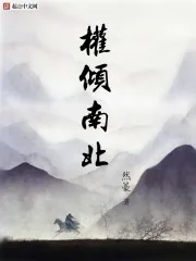 《权倾南北》小说封面