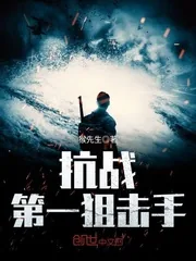 《抗战第一狙击手》小说封面