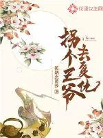 《拐个王爷去复仇》小说封面