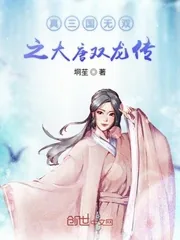 《真三国无双之大唐双龙》小说封面