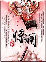 《皞昭江湖之惊澜》小说封面